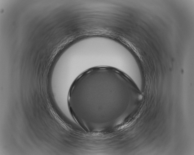 X0000085260589200703231717