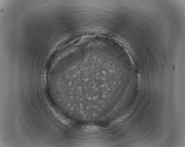 X0000085260590200703231717