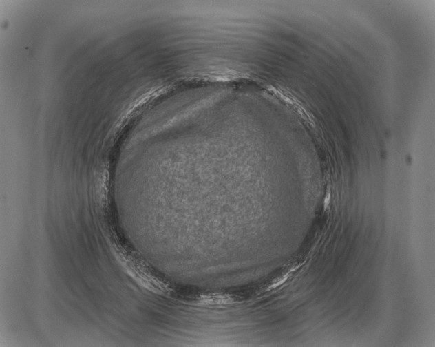 X0000085260591200703231717