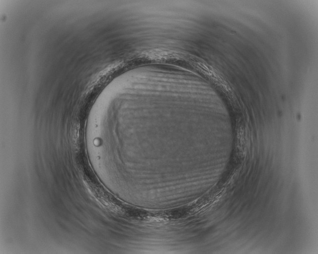 X0000085260592200703231717