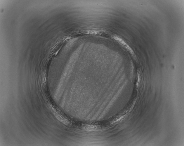 X0000085260593200703231717