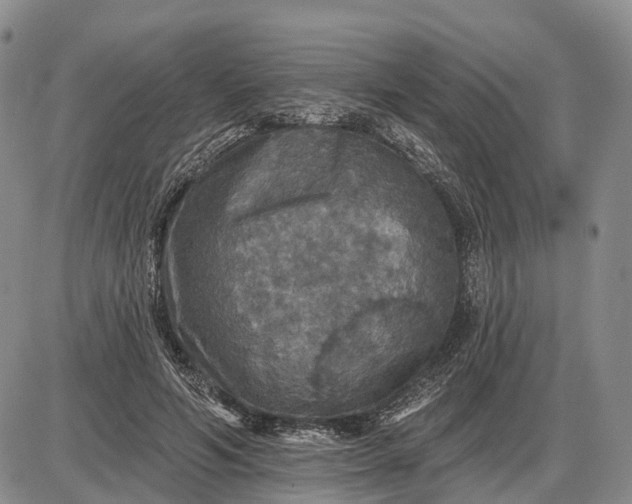 X0000085260594200703231717