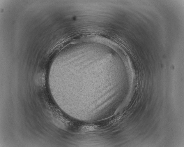 X0000085260595200703231717