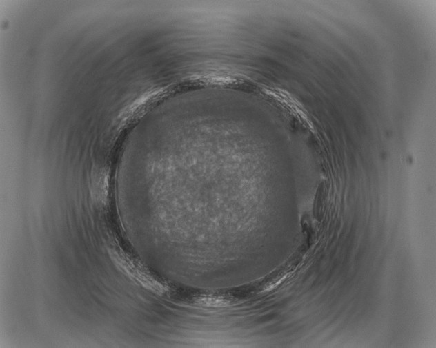 X0000085260596200703231717