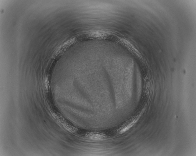 X0000085260597200703231717