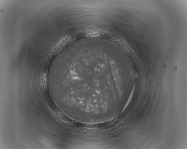 X0000085260598200703231717