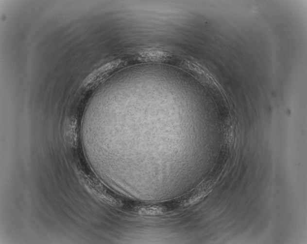 X0000085260599200703231717