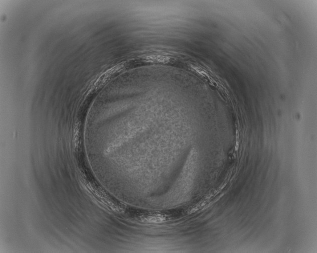 X0000085260600200703231717