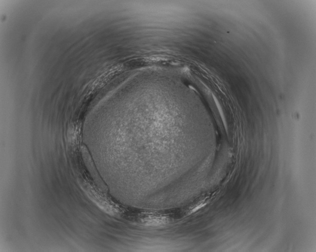 X0000085260601200703231717