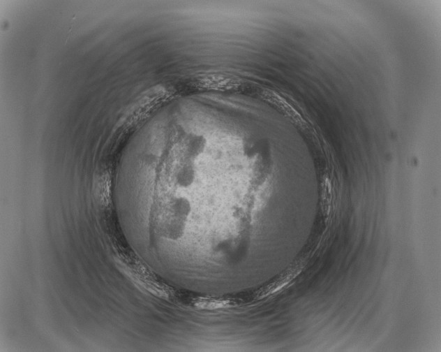 X0000085260602200703231717