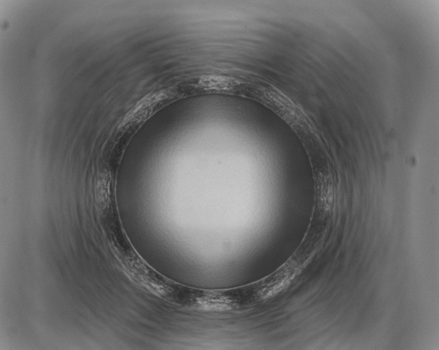 X0000085260603200703231717