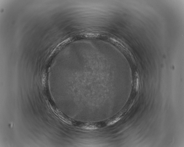 X0000085260604200703231717