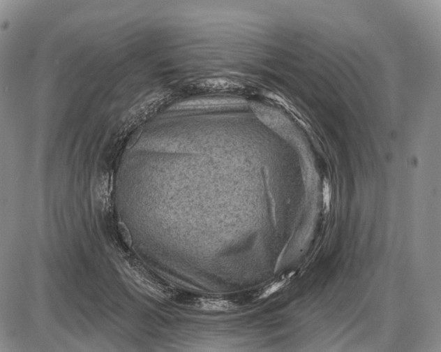 X0000085260605200703231717