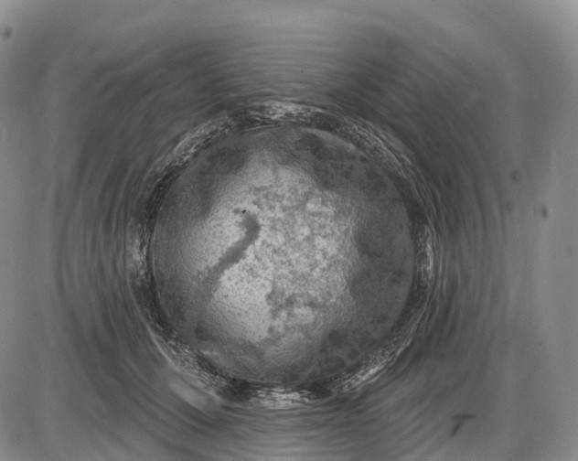 X0000085260607200703231717