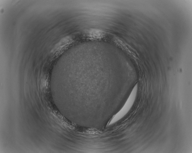 X0000085260608200703231717