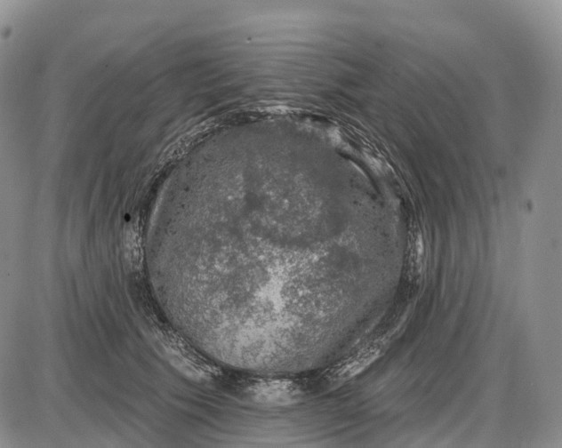 X0000085260609200703231717