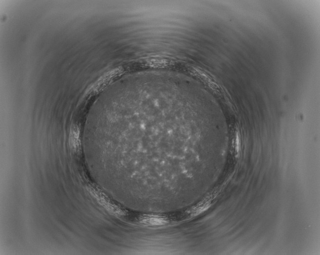 X0000085260610200703231717