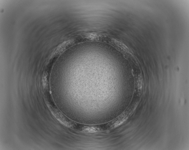 X0000085260611200703231717