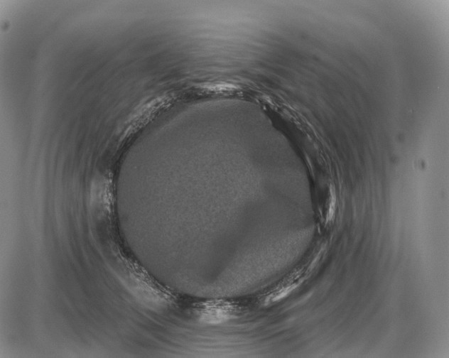 X0000085260612200703231717