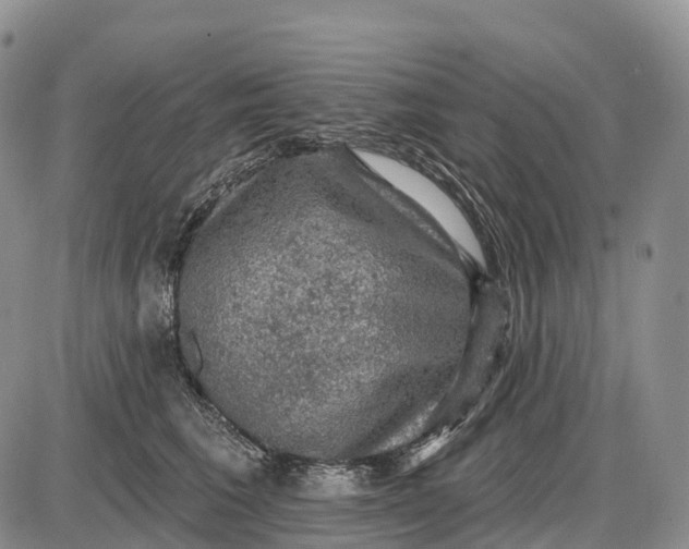 X0000085260613200703231717