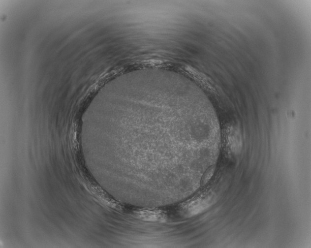 X0000085260615200703231717