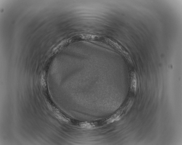 X0000085260616200703231717