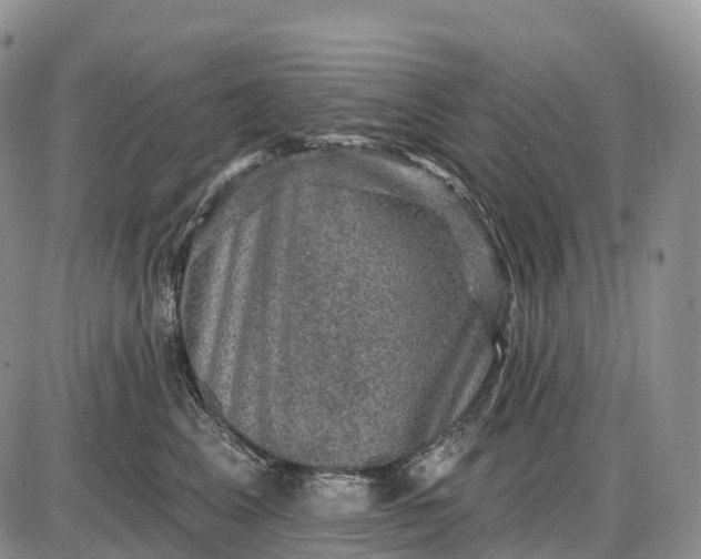 X0000085260617200703231717