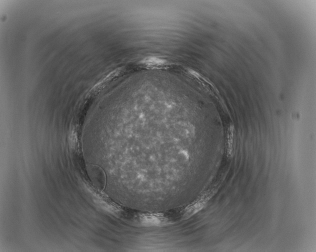 X0000085260618200703231717