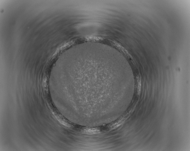 X0000085260619200703231717