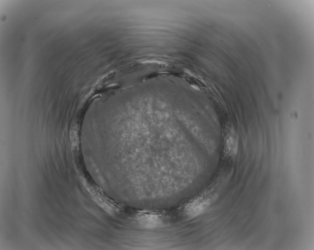 X0000085260620200703231717