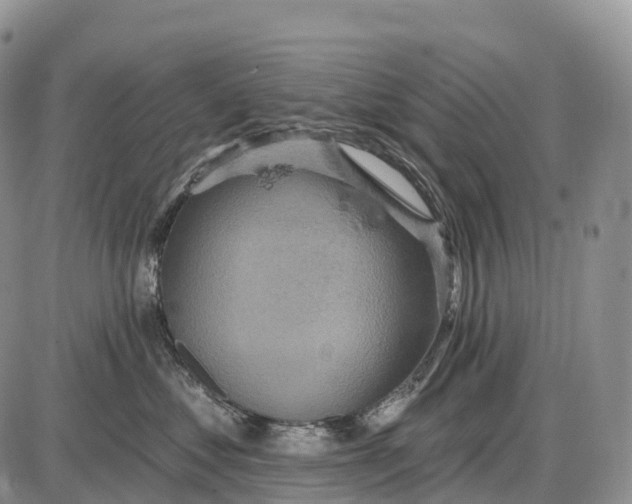 X0000085260621200703231717