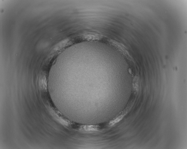 X0000085260622200703231717