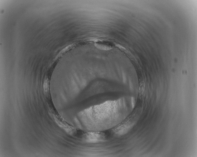 X0000085260623200703231717