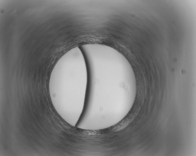 X0000085260624200703231717