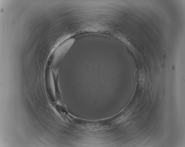 X0000085260626200703231716