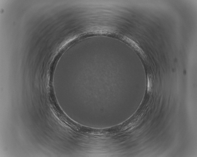 X0000085260627200703231716