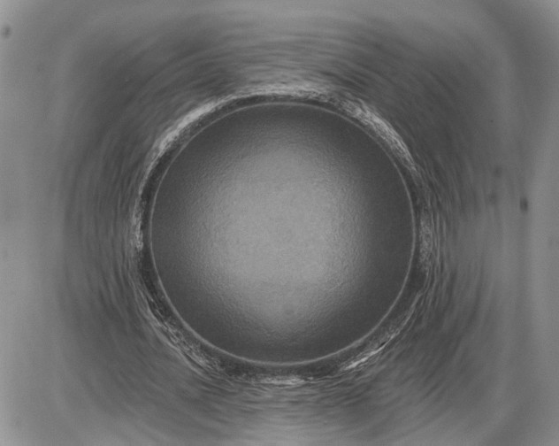 X0000085260628200703231716