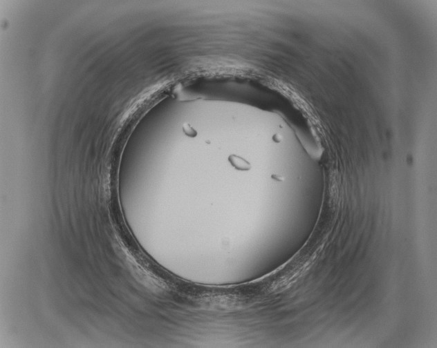 X0000085260629200703231716