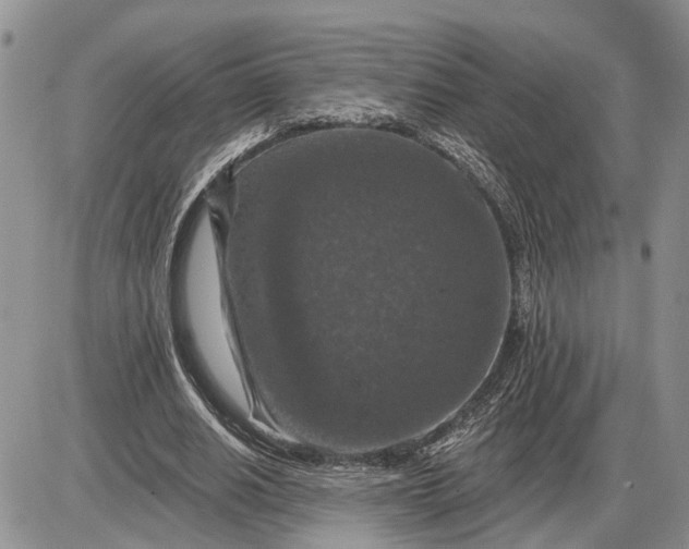 X0000085260630200703231716