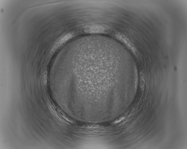 X0000085260631200703231716