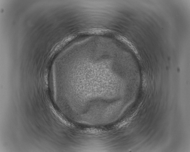 X0000085260633200703231716