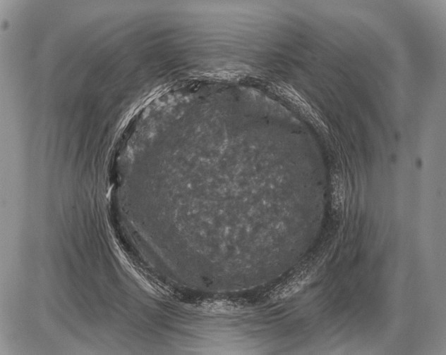 X0000085260634200703231716