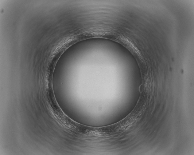 X0000085260635200703231716