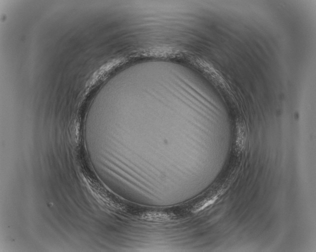 X0000085260636200703231716