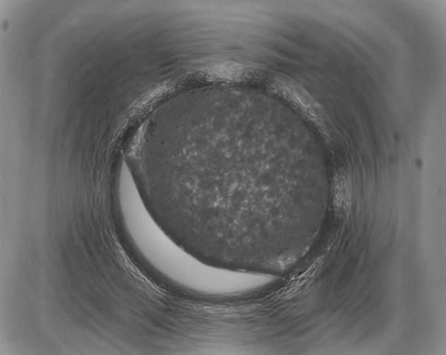 X0000085260637200703231716