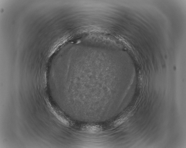 X0000085260638200703231716