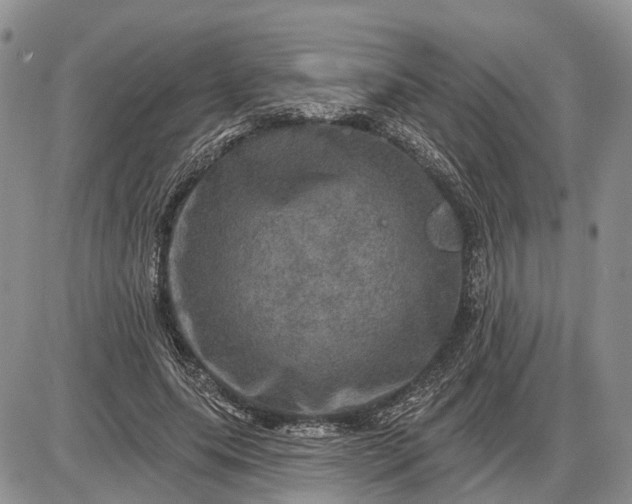 X0000085260639200703231716