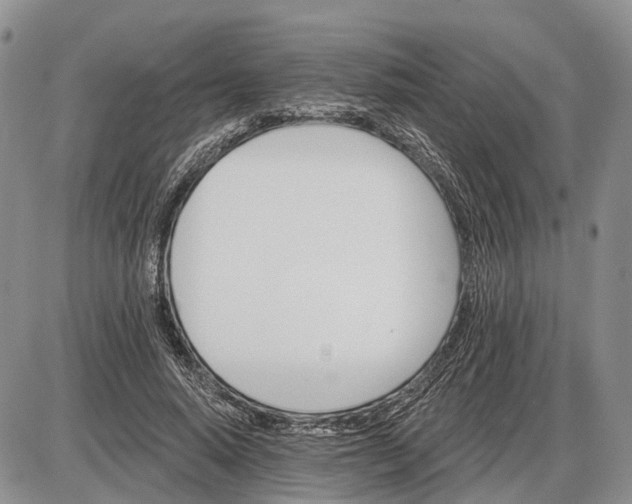 X0000085260640200703231716