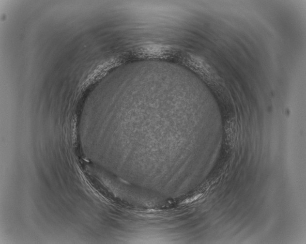 X0000085260642200703231716