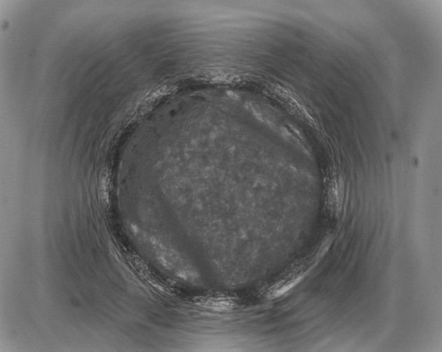 X0000085260643200703231716